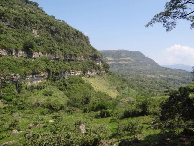 Estudios geotécnicos y geológicos